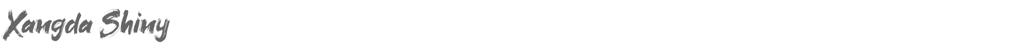 Sample characters Xangda Shiny Font